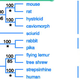 Here’s Superorder Euarchontaglires! Note the rodents at the top. Screenshot via this really great mammology resource.